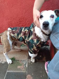 Vaquinha Online - Ajuda ao marlon