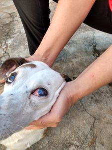 null - Ajuda ao marlon