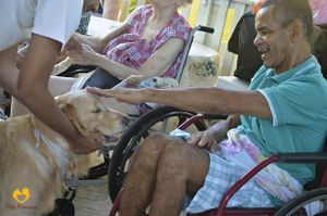 Projeto Pêlo Próximo - Campanha Calendário 2024 Projeto Pêlo Próximo