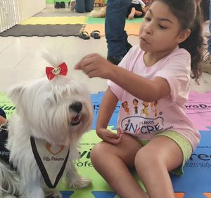 ONGs - Campanha Calendário 2024 Projeto Pêlo Próximo