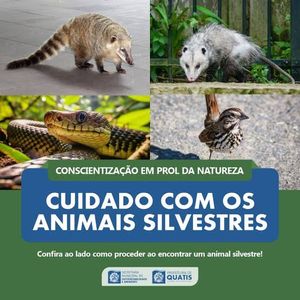 Animais - AMIGOS DO MUNDO ANIMAL unidos com outros 8 Santuários, UNIDOS PELOS ANIMAIS. Colabore com nosso projeto e desafie seus amigos a contribuírem também postando a #amigosdomundoanimal nas suas redes!