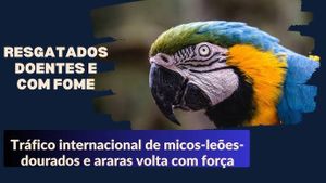 Crowdfunding - AMIGOS DO MUNDO ANIMAL unidos com outros 8 Santuários, UNIDOS PELOS ANIMAIS. Colabore com nosso projeto e desafie seus amigos a contribuírem também postando a #amigosdomundoanimal nas suas redes!