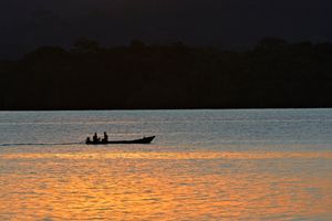 Reckitt e WWF - Brasil - Grupo Reckitt e WWF: juntos pelo Tapajós