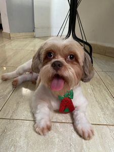 Vaquinha Online - Ajude o Théo a continuar lutando! 