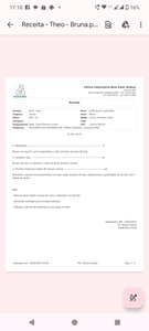 Animais - Ajude o Théo a continuar lutando! 