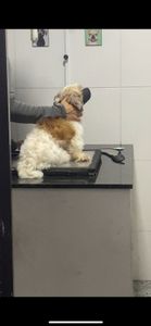 Ajude o Théo a continuar lutando! 