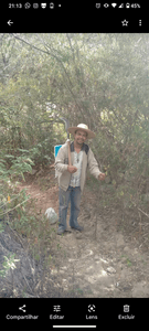 Máquinas De Costura Industrial  imagem 7