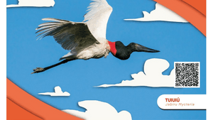 São Paulo/SP - CALENDÁRIO 2025: TODO DIA É ANIMAL - Apoie Agora, Proteja Sempre