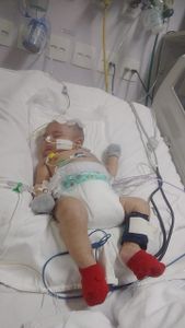 Ajuda para Pyetro imagem 7