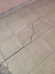 Caridade e Filantropia - Reforma da Instituição 