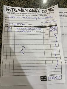 Viana/ES - Ajude a Caramela