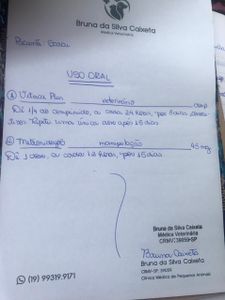 Os Animais da Amigos Pet Salute   - Os Animais do Lar Pet Salute Precisam de Vocês!