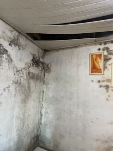 São Paulo/SP - REFORMA TETO E PAREDE POR FAVOR ME AJUDEM