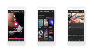 "Netflix' dos Músicos - Plataforma de streaming BR imagem 10