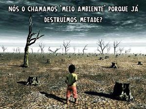 Meio ambiente - Recompor a mata atlântica. Neutralizar CO²