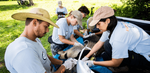 Junte-se a Proteção Animal Mundial. Juntos movemos o mundo pelos animais.