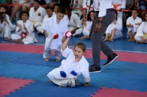 Vaquinha Online - Pequena atleta, grande sonho: Giovana no Brasileiro