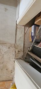 Belo Horizonte/MG - Recuperando a morada