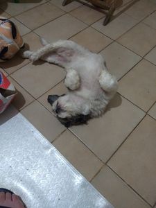 Bento - Campanha para cataratas do Bento