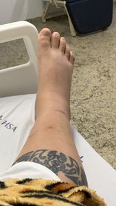 Vaquinha Online - Voltar para São Paulo