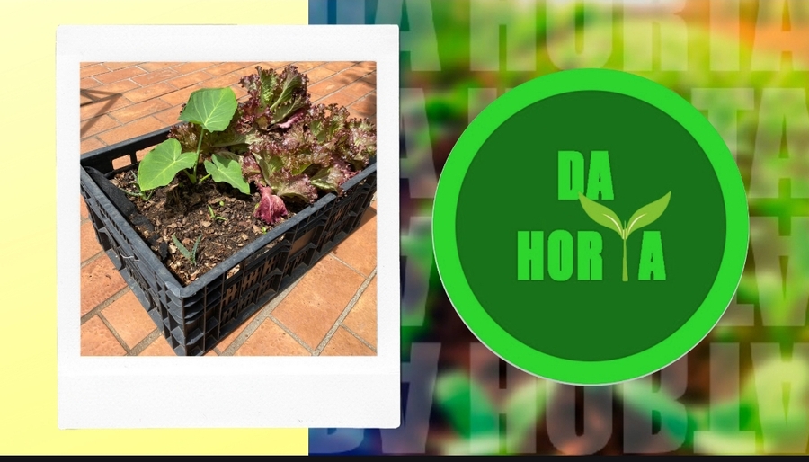 Horta portátil- Projeto de sustentabilidade ambiental nas comunidades
