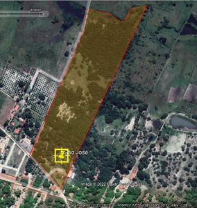 Meio ambiente - ADOTE UMA ÁRVORE