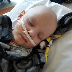 Santa Cruz do Sul/RS - Salve o Dani