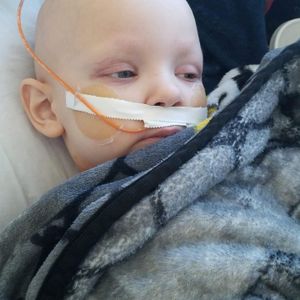 Campanha do Daniel - Salve o Dani