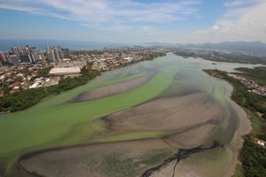 Mario Moscatelli: Projeto Olho Verde PRECISA DE VOCÊ