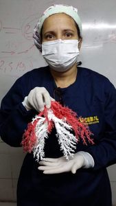 Educação - Último ano da faculdade de medicina 