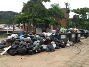 Projeto Ribeira Viva - Projeto Ribeira Viva