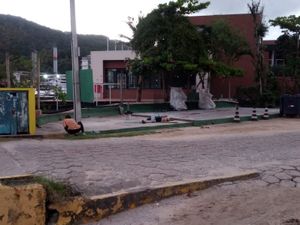 Projeto Ribeira Viva imagem 6