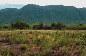 Causas e Comunidade - Povo Atikum - Acampamento Terra Livre (ATL)