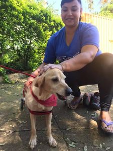 Animais - Ajudem ! Juntos somos mais fortes 🙏🏻