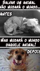 Vaquinha Online - Ajudem ! Juntos somos mais fortes 🙏🏻