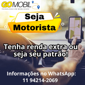 Empreendedorismo e Pequenos Negócios - Levar sistema Go Mobil Social para todos os locais.