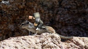 Me Ajuda a Melhorar Minha Máquina de Transmissão!