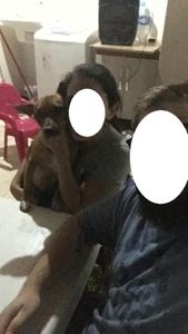 Vaquinha Online - Ajuda para custos de Veterinário