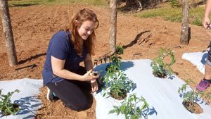 Educação - Câmara fria para o viveiro escola Art Viverde