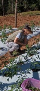 Atibaia/SP - Câmara fria para o viveiro escola Art Viverde