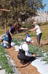 Art Viverde viveiro escola de sustentabilidade - Câmara fria para o viveiro escola Art Viverde
