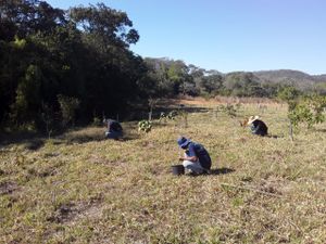 Vaquinha Online - Caiaques para o monitoramento ambiental das águas dos rios de Bonito e região