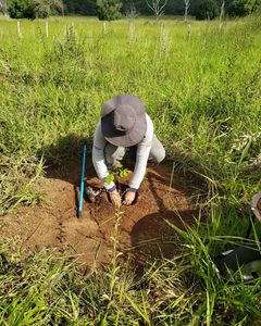 Meio ambiente - Caiaques para o monitoramento ambiental das águas dos rios de Bonito e região