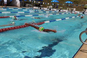 Vaquinha Online - OURO OLIMPICO