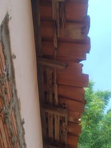 Financiamento Coletivo - Ajuda ao camarada Powpow 