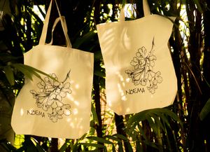 Crowdfunding da Noema imagem 6