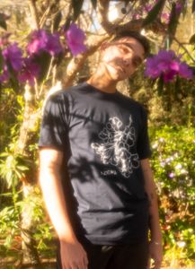 Música - Crowdfunding da Noema