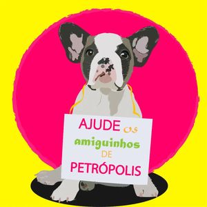 Petrópolis/RJ - Futuro professor de artes precisando se formar