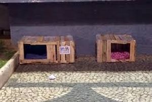 AJUDANDO CACHORROS NA RUA GRJA imagem 7