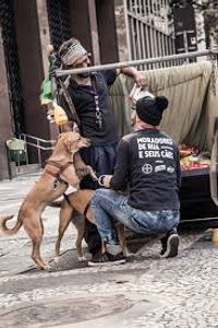 Saúde Mental - AJUDANDO CACHORROS NA RUA GRJA